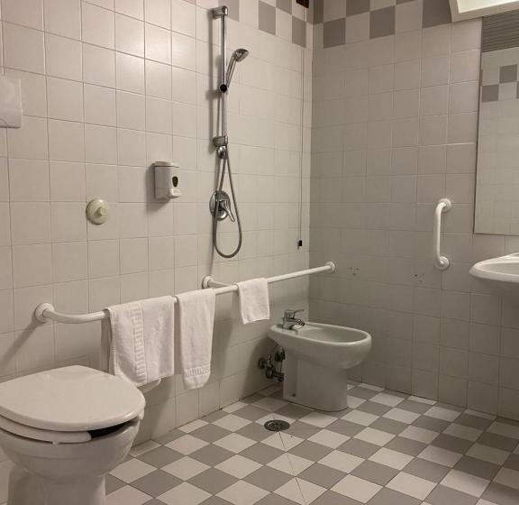 适合残疾人士使用的带超级大床的标准间, Master