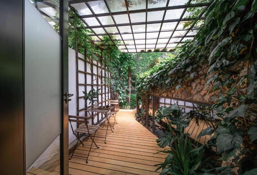 سوییت جونیور, The Bivou Lijiang