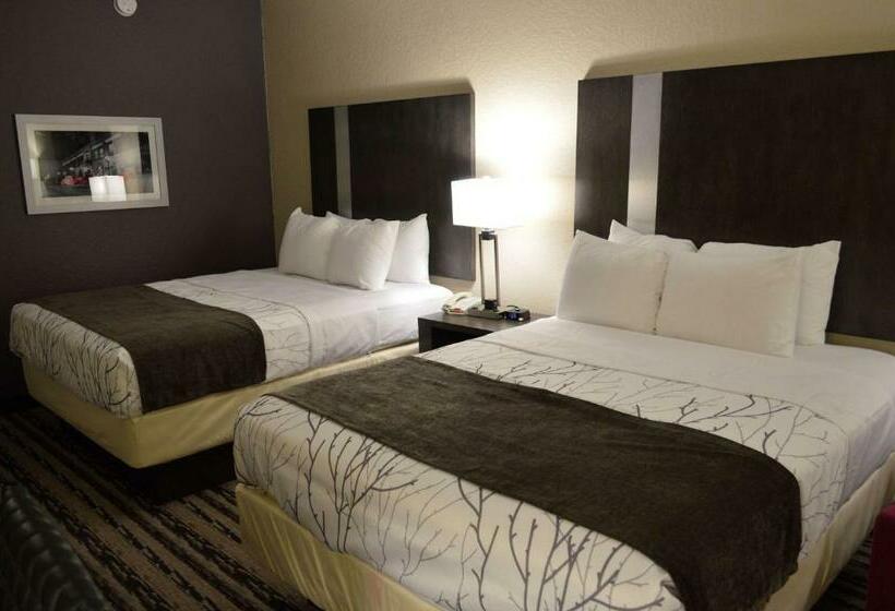 스탠다드 룸, Best Western Boerne Inn & Suites