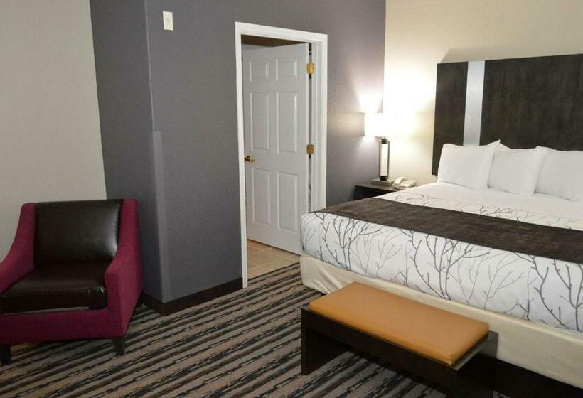 Люкс Кровать Кинг, Best Western Boerne Inn & Suites