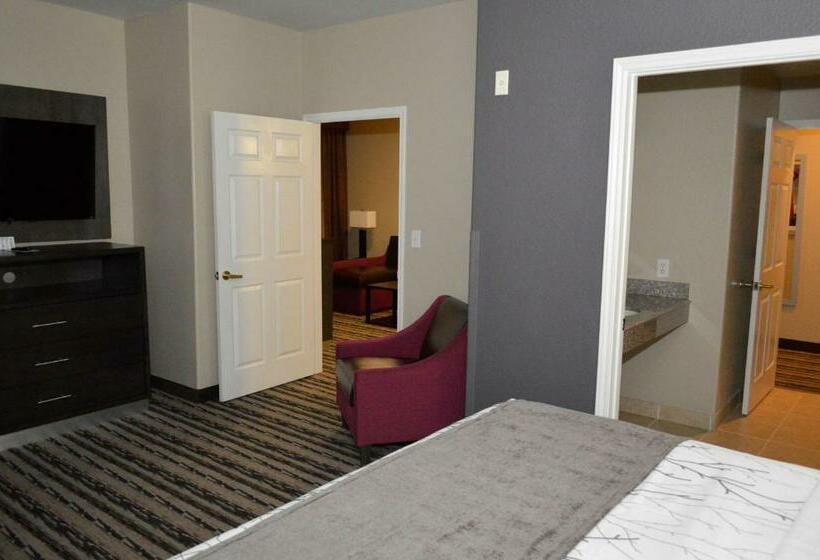 스위트 킹사이즈 침대, Best Western Boerne Inn & Suites