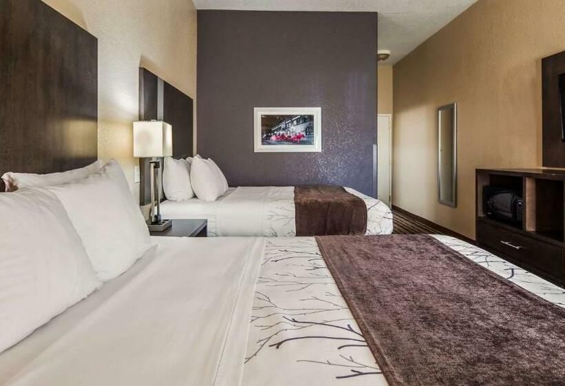 스탠다드 룸, Best Western Boerne Inn & Suites