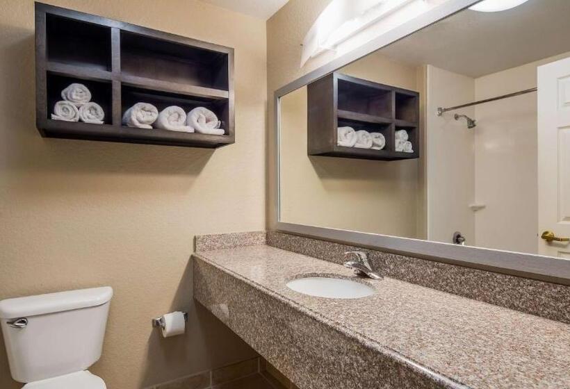 스탠다드 룸 킹사이즈 침대, Best Western Boerne Inn & Suites