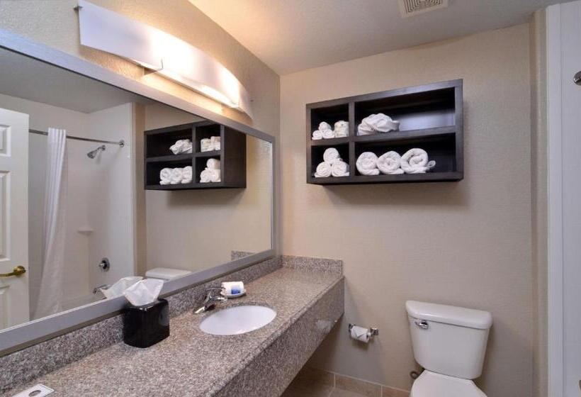 Quarto Estandar Cama King, Best Western Boerne Inn & Suites