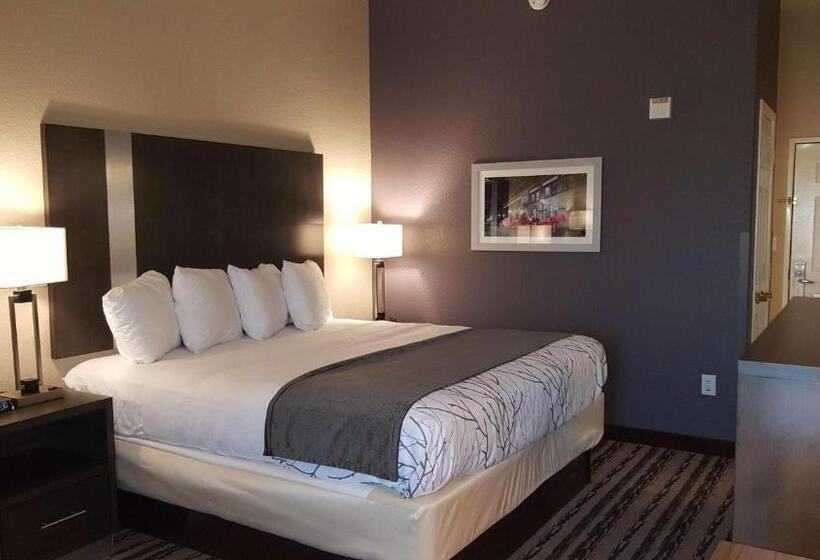 Стандартный Номер Кровать Кинг, Best Western Boerne Inn & Suites