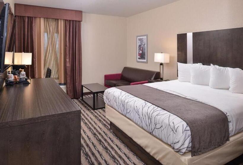 스위트 킹사이즈 침대, Best Western Boerne Inn & Suites