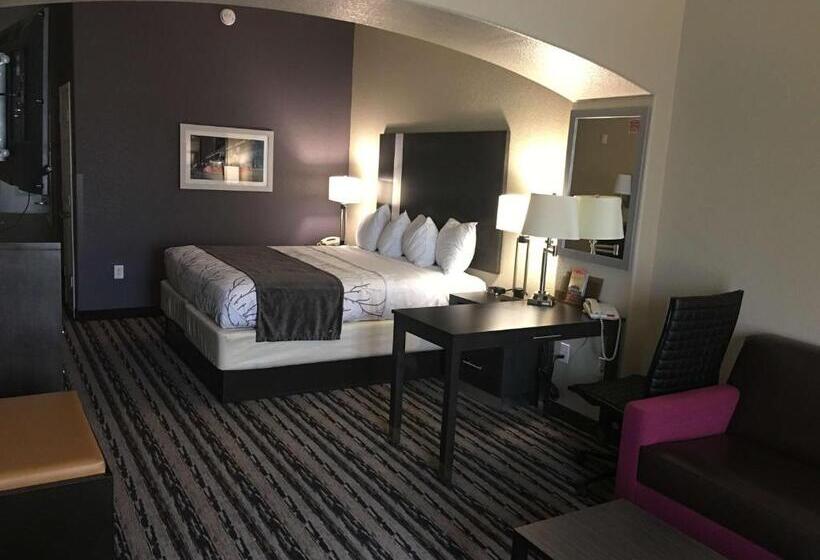 Люкс Кровать Кинг, Best Western Boerne Inn & Suites