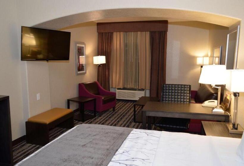 스위트 킹사이즈 침대, Best Western Boerne Inn & Suites