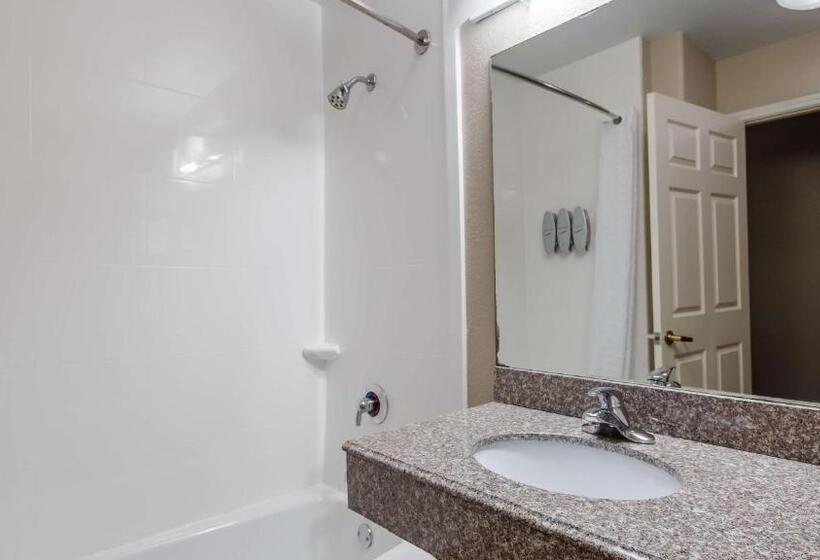 Quarto Estandar para Deficientes Físicos, Best Western Boerne Inn & Suites