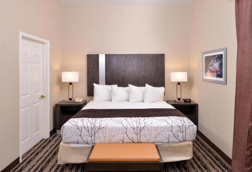 장애인을 위한 스위트, Best Western Boerne Inn & Suites