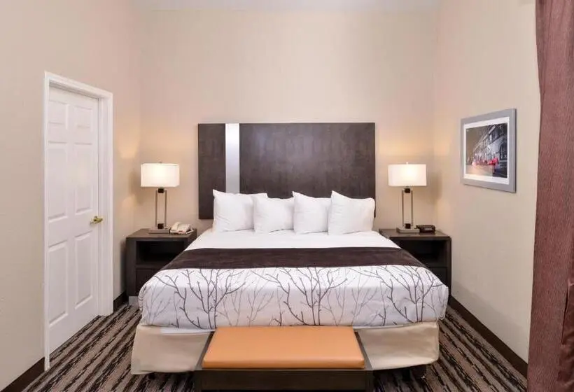 身障者適用スイートルーム, Best Western Boerne Inn & Suites