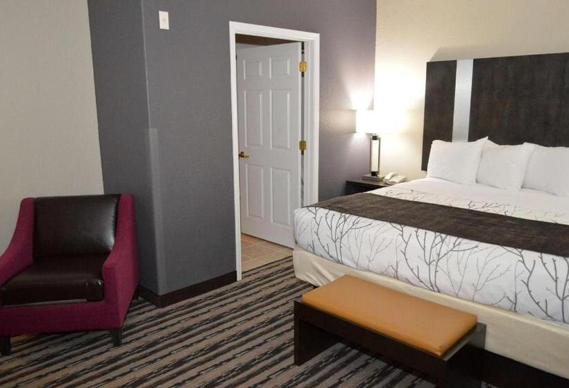 스탠다드 룸, Best Western Boerne Inn & Suites