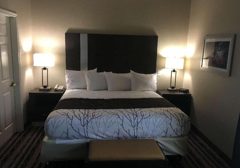 스위트 킹사이즈 침대, Best Western Boerne Inn & Suites