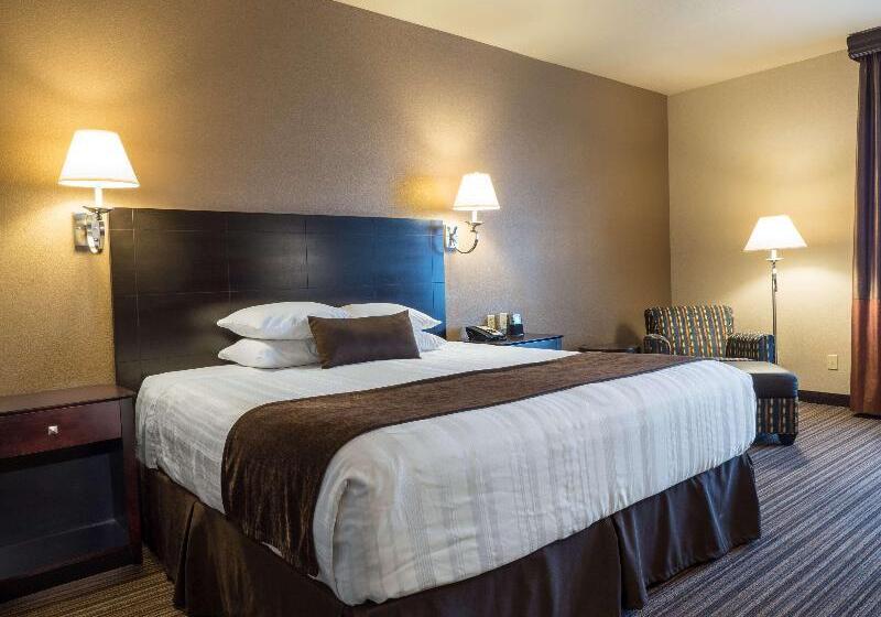 Стандартный Номер Кровать Кинг, Best Western Boerne Inn & Suites