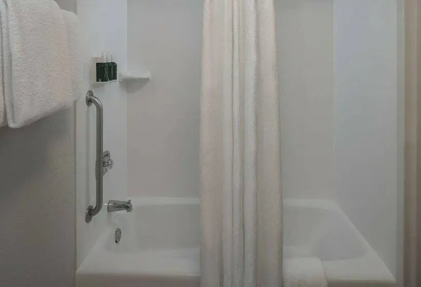 ２ダブルベッドのスタンダードルーム, Courtyard By Marriott Jacksonville At The Mayo Clinic Campus/beaches