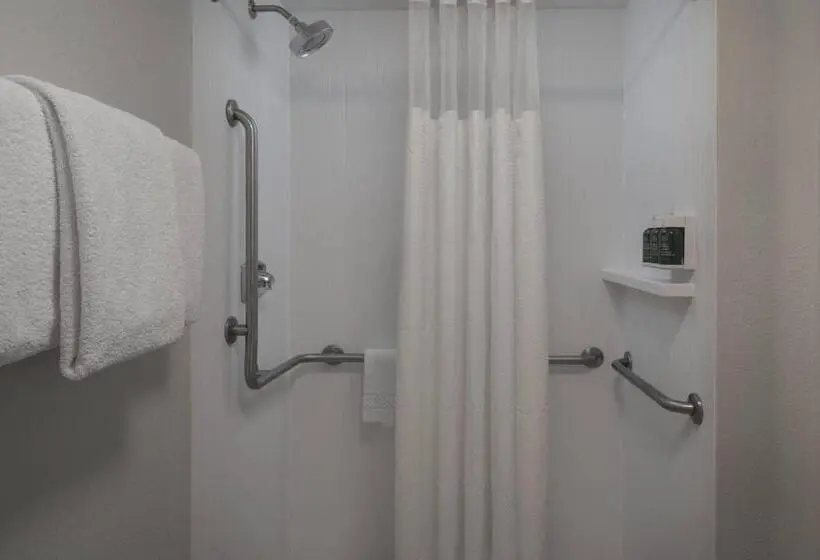 ２ダブルベッドのスタンダードルーム, Courtyard By Marriott Jacksonville At The Mayo Clinic Campus/beaches