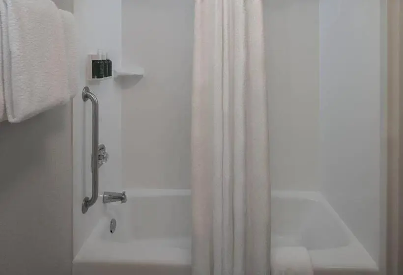 ２ダブルベッドのスタンダードルーム, Courtyard By Marriott Jacksonville At The Mayo Clinic Campus/beaches