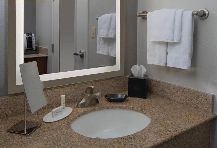 エクゼクティブルーム, Courtyard By Marriott Jacksonville At The Mayo Clinic Campus/beaches