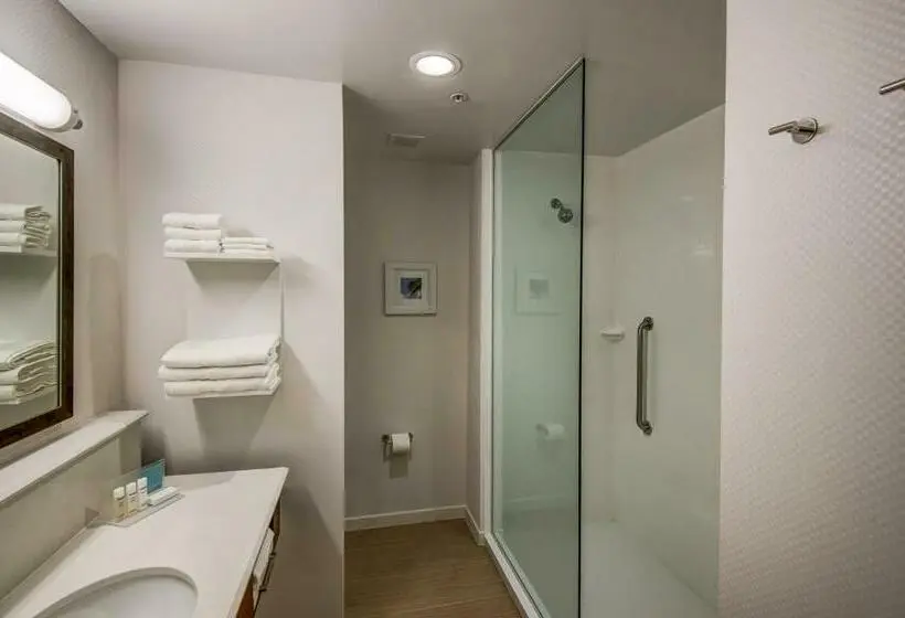 キングサイズベッドのスタンダードルーム, Hampton Inn By Hilton Plant City