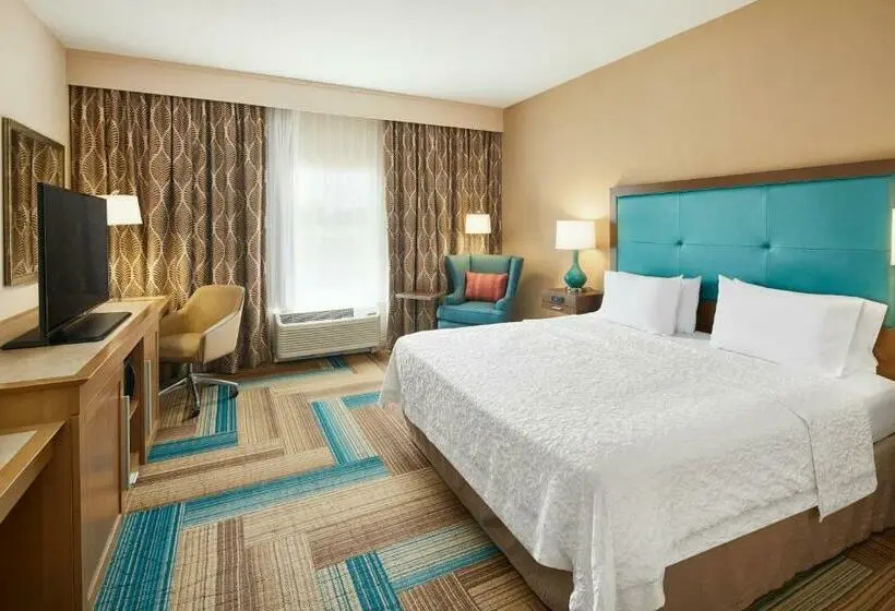 身障者適用キングサイズベッドルーム, Hampton Inn By Hilton Plant City