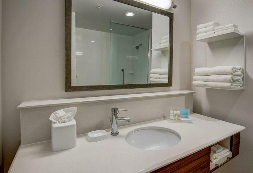 스탠다드 룸 킹사이즈 침대, Hampton Inn By Hilton Plant City