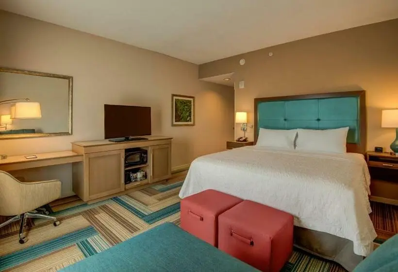 身障者適用キングサイズベッドルーム, Hampton Inn By Hilton Plant City