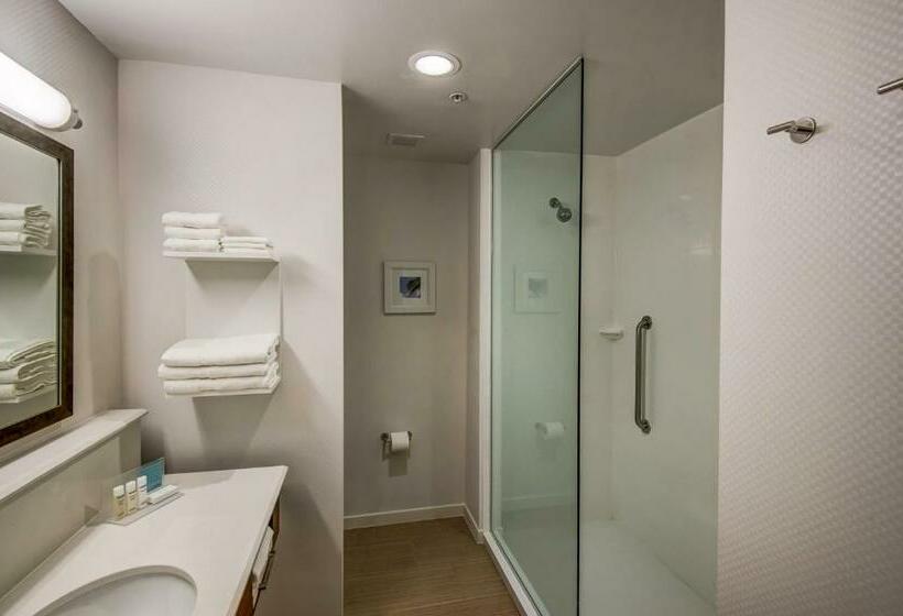 장애인을 위한 킹사이즈 침대 스탠다드 룸, Hampton Inn By Hilton Plant City