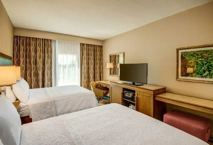 スタンダードルーム, Hampton Inn By Hilton Plant City