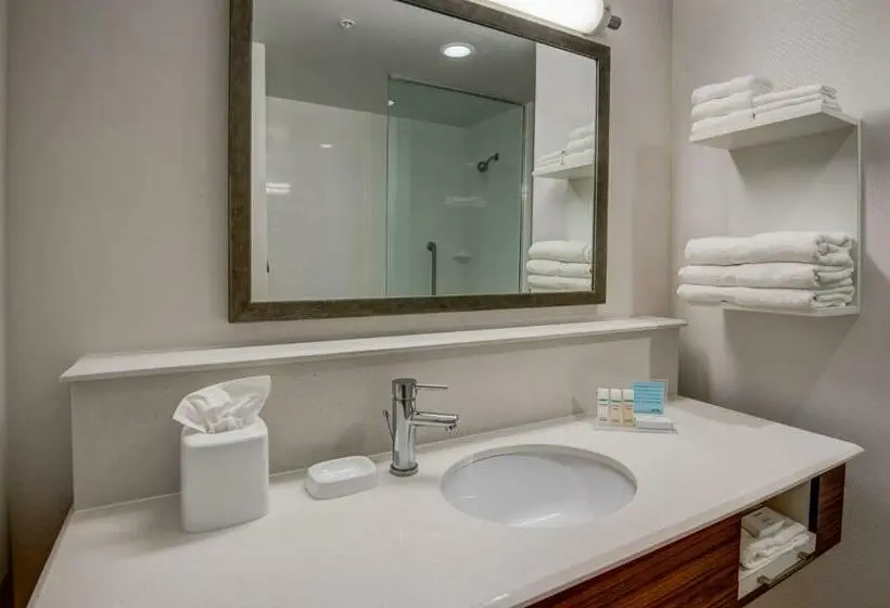スタンダードルーム, Hampton Inn By Hilton Plant City