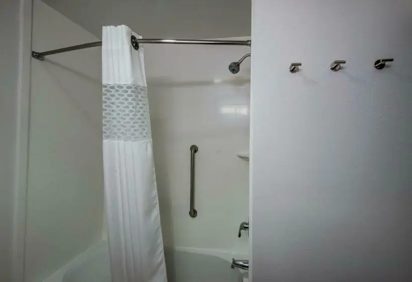 スタンダードルーム, Hampton Inn By Hilton Plant City