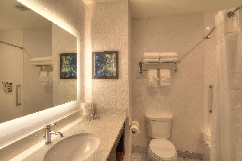 חדר סטנדרט עם מיטת קינג, Hampton Inn By Hilton Plant City