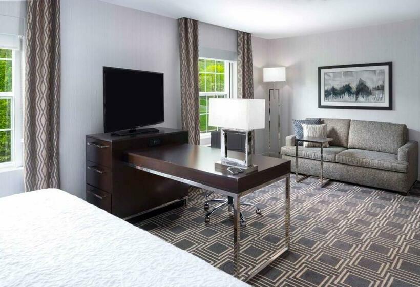 이그제큐티브 스위트 킹침대, Hampton Inn & Suites Bridgewater