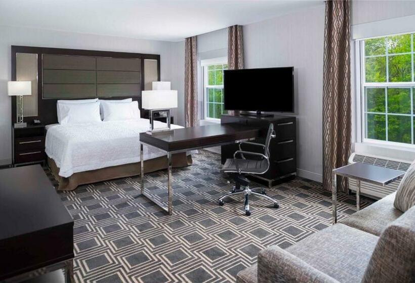 جناح إدارى سرير كينج, Hampton Inn & Suites Bridgewater