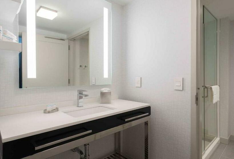 이그제큐티브 스위트 킹침대, Hampton Inn & Suites Bridgewater