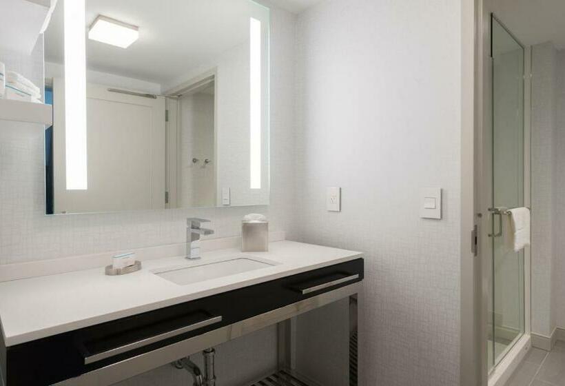 غرفة قياسية سرير كينج لذوى الإحتياجات الخاصة, Hampton Inn & Suites Bridgewater