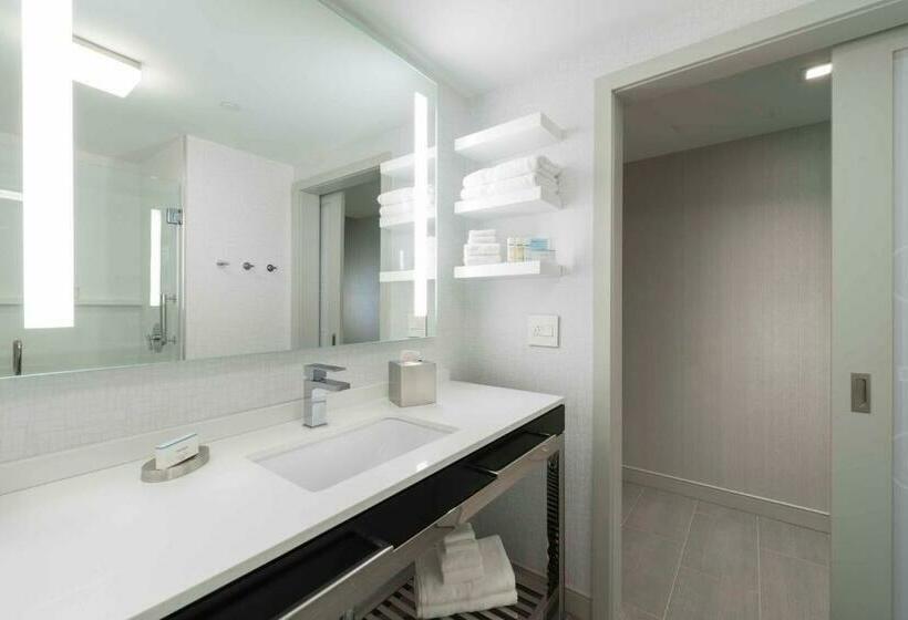 غرفة قياسية سرير كينج, Hampton Inn & Suites Bridgewater