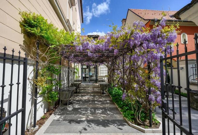 חדר בסיסי, Maison Bistro &