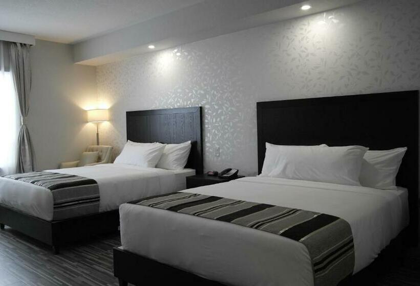 غرفة قياسية, Stars Inn