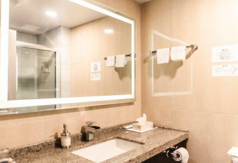 غرفة قياسية, Stars Inn