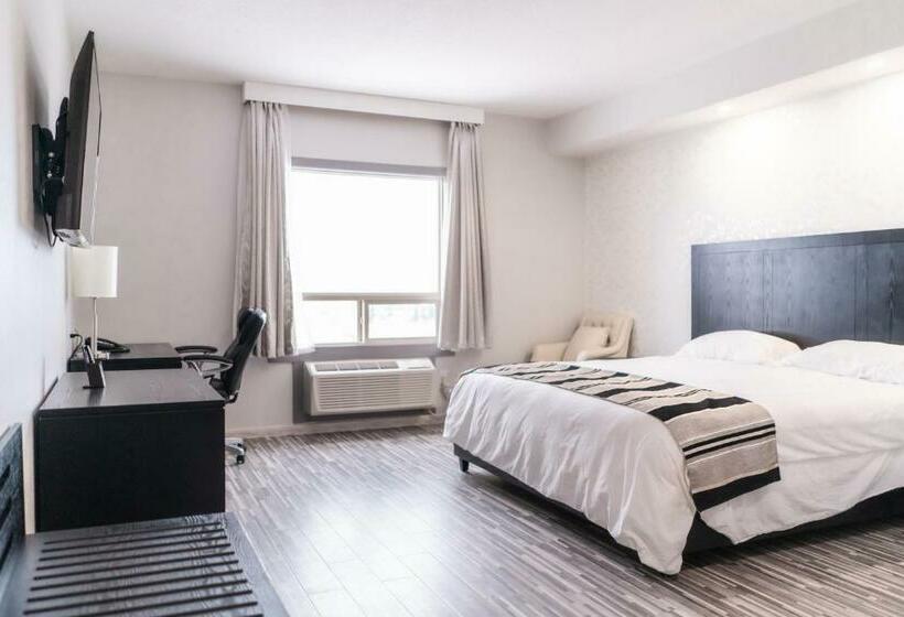 غرفة قياسية سرير كينج, Stars Inn