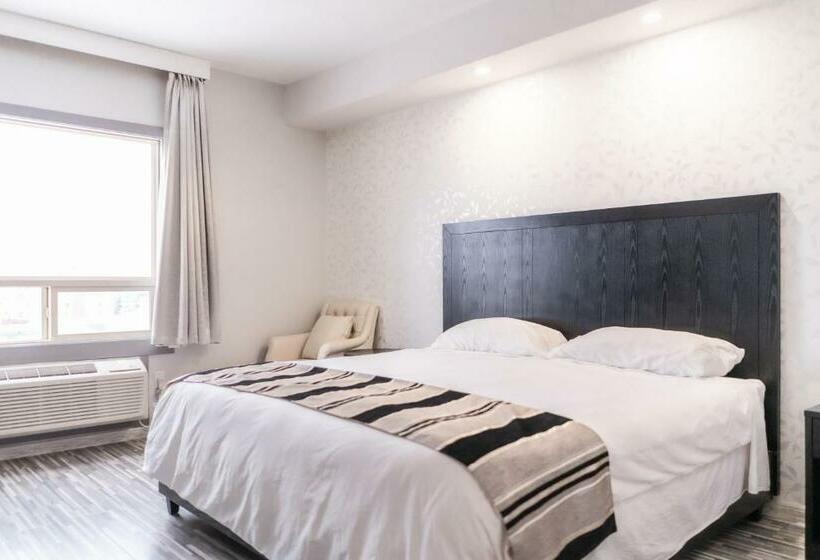 Стандартный Номер Кровать Кинг, Stars Inn