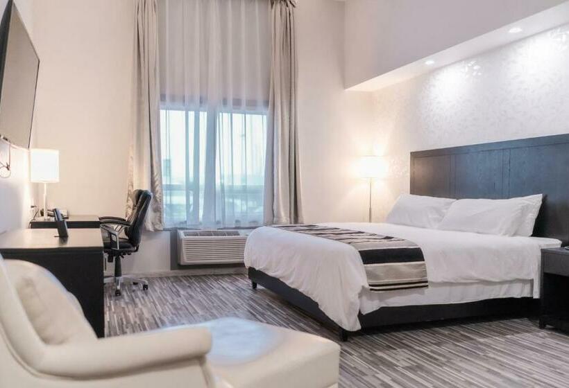 غرفة قياسية سرير كينج, Stars Inn