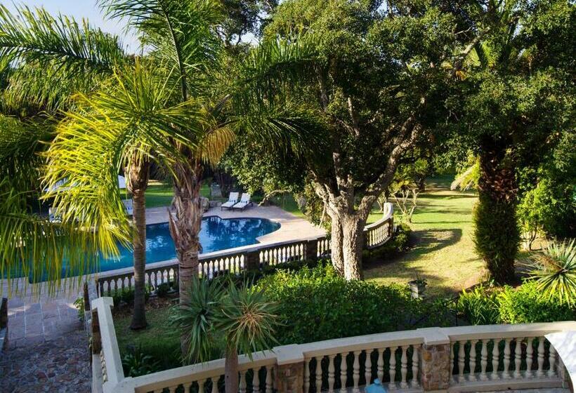 Люкс Повышенной Комфортности, Ibis House