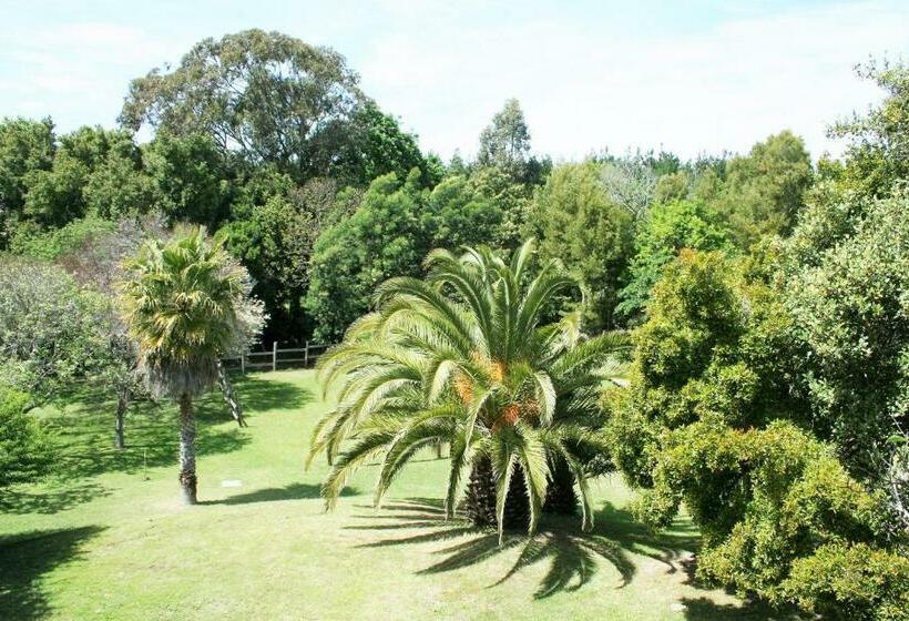 Стандартный Номер Кровать Кинг, Ibis House