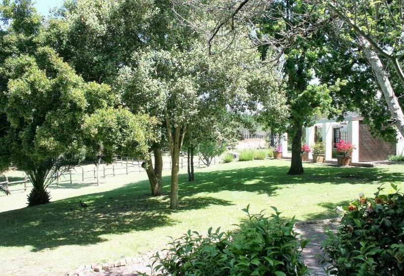 Стандартный Номер Кровать Кинг, Ibis House