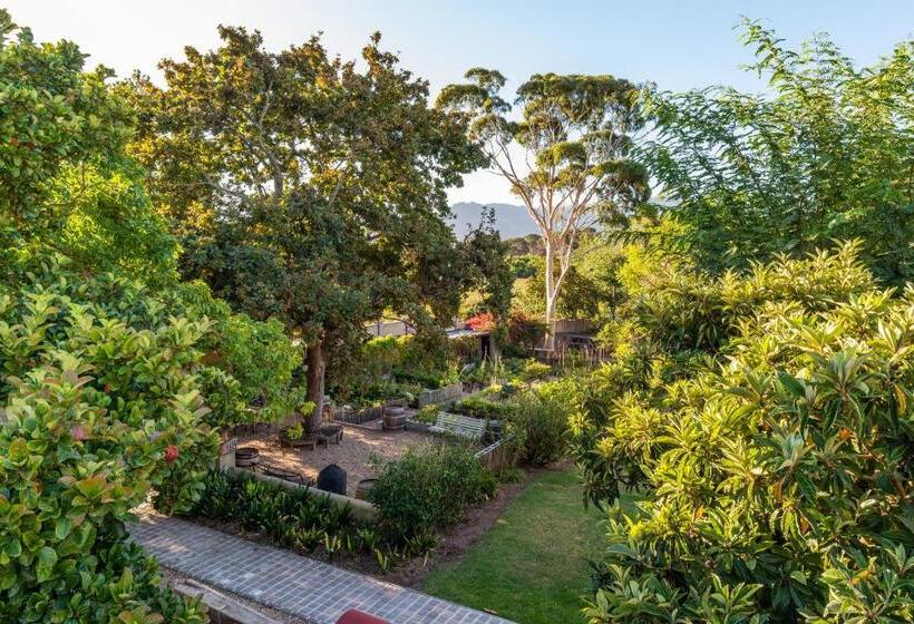 Номер Стандарт, Ibis House