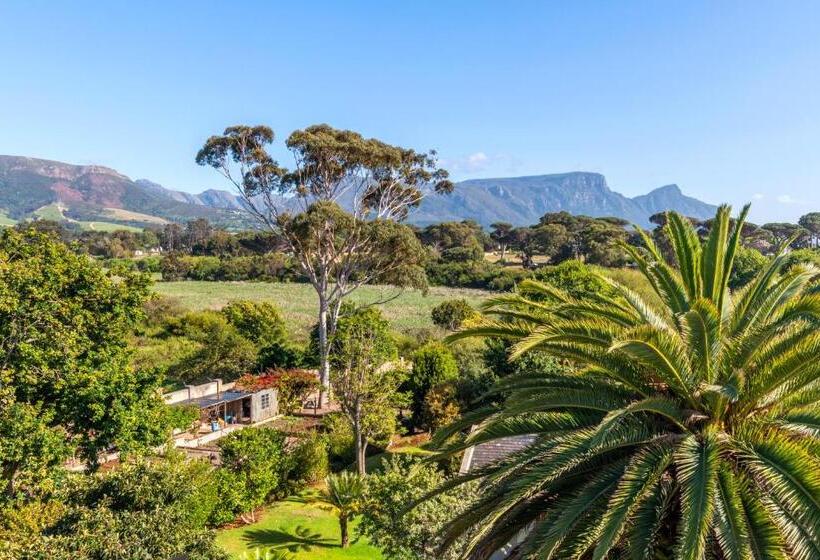 Номер Стандарт, Ibis House