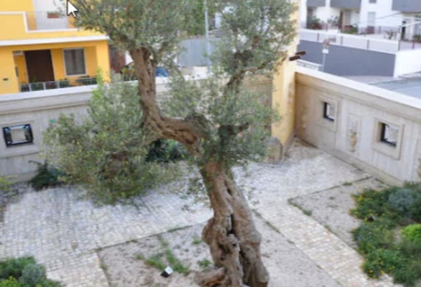 חדר סופריור, Bhb