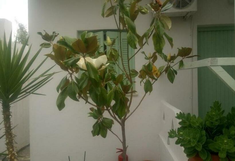 استودیوی استاندارد, Skyros Panorama Studios