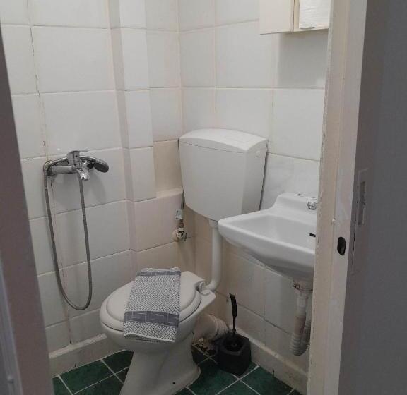 스탠다드 룸, Ikaros